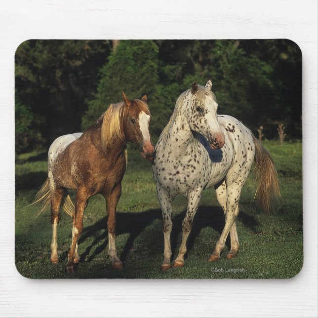 Tapis De Souris Chevaux d'Appaloosa (Devant)