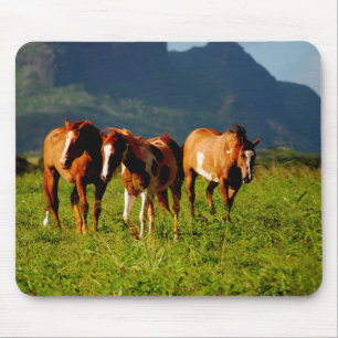 Tapis De Souris Chevaux de Kauai