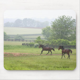 Tapis De Souris Chevaux de matin courant Mousepad