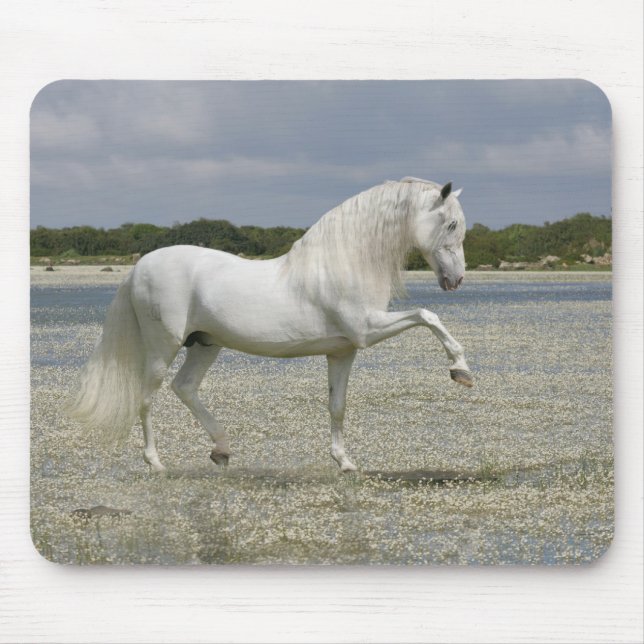 Tapis De Souris Chevaux d'imaginaire : Seigneur du lac (Devant)