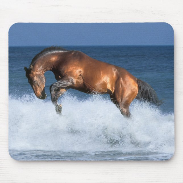 Tapis De Souris Chevaux d'imaginaire : Selle Francais et mer (Devant)
