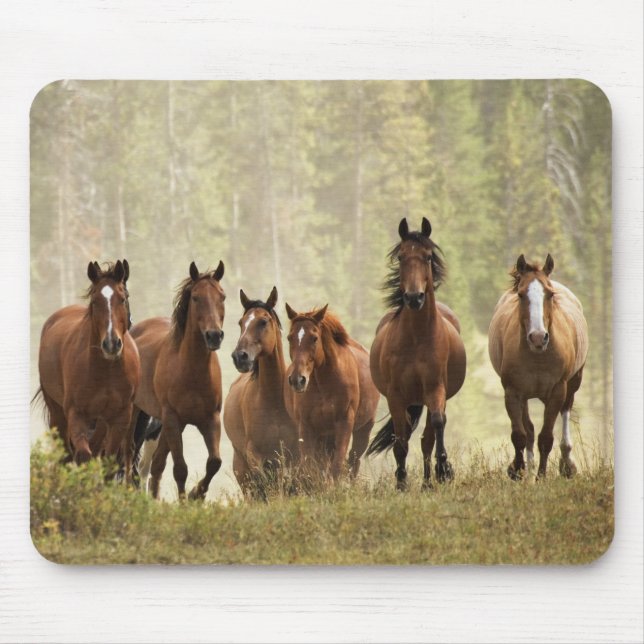 Tapis De Souris Chevaux franchissant une petite colline lors d'un  (Devant)