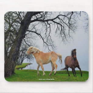 Tapis De Souris Chevaux Jouer par Lac Animal Art Mousepad