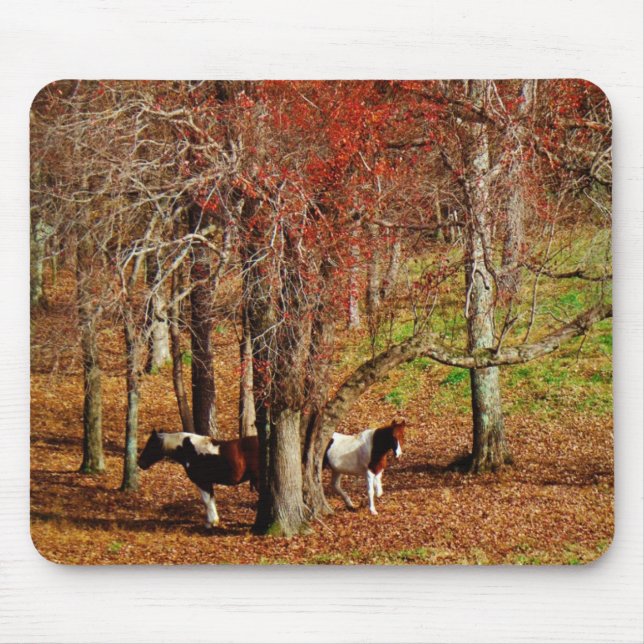 Tapis De Souris Chevaux jumeaux Brown et blancs (Devant)