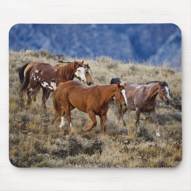 Tapis De Souris Chevaux Parcourir les collines (Devant)