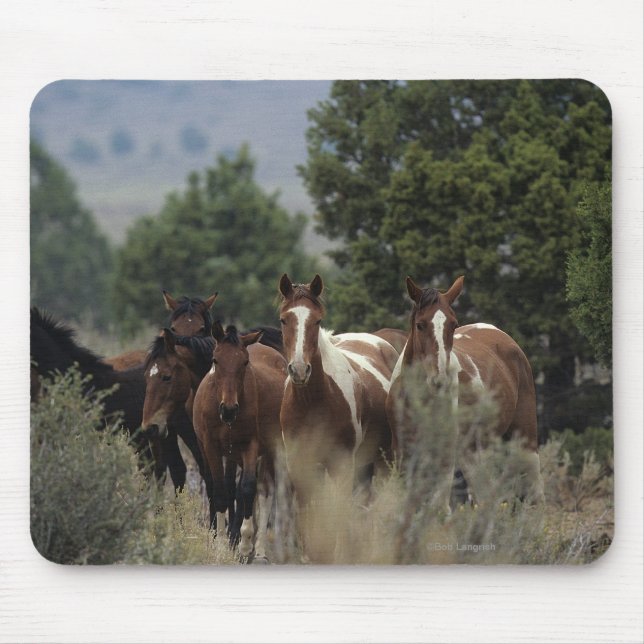 Tapis De Souris Chevaux sauvages 2 de mustang (Devant)