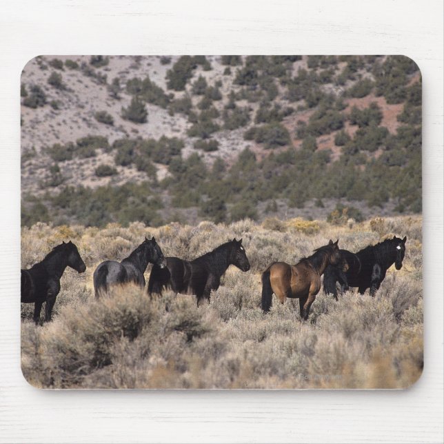 Tapis De Souris Chevaux sauvages de mustang dans le désert 2 (Devant)