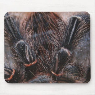 Tapis De Souris cheveux d'araignée