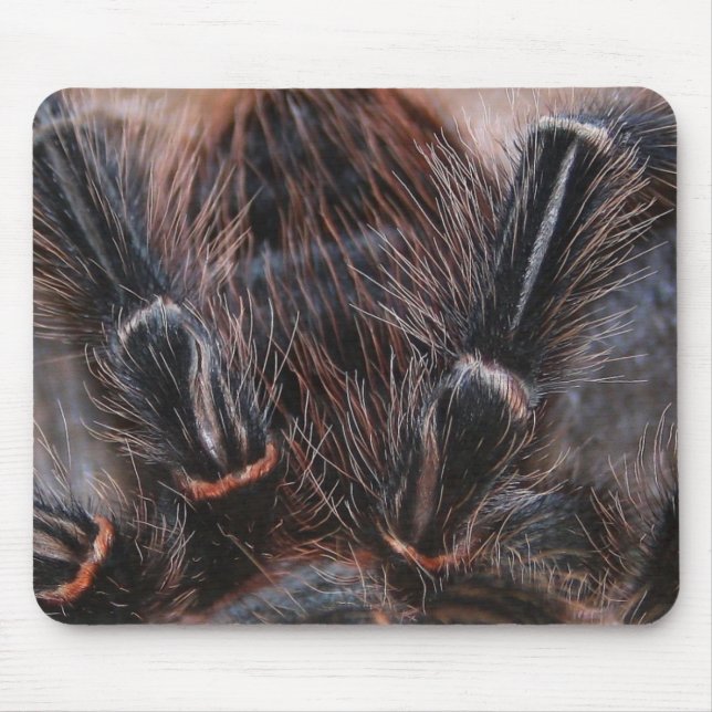 Tapis De Souris cheveux d'araignée (Devant)