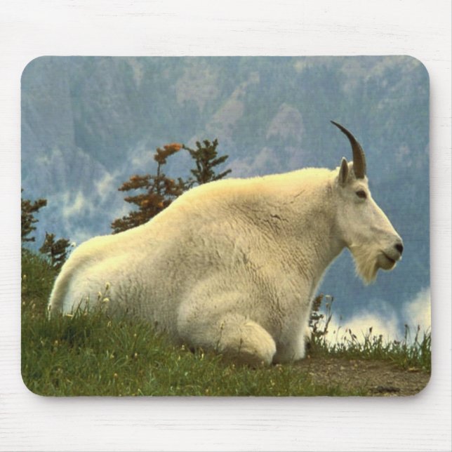 Tapis De Souris Chèvre de montagne (Devant)