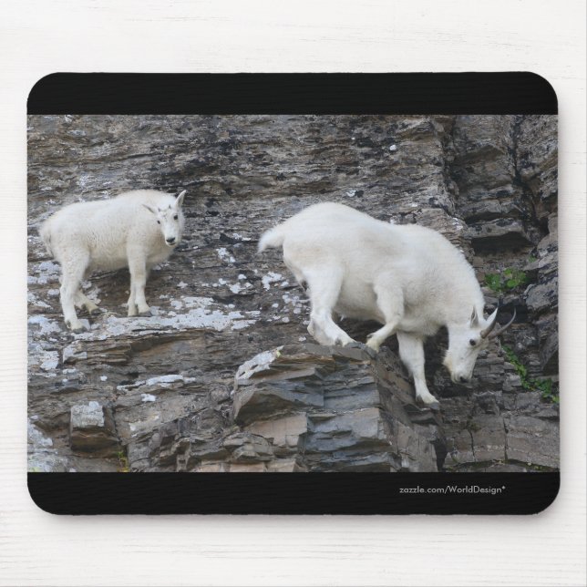 Tapis De Souris Chèvre de montagne (Devant)