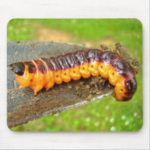 Tapis De Souris Chèvre Moth Caterpillar Mouse Mat