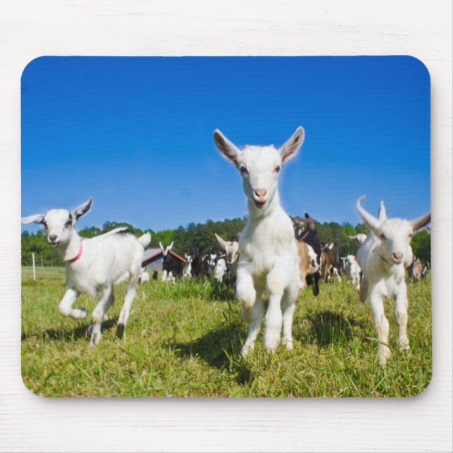 Tapis De Souris Chèvres Mousepad de bébé (Devant)