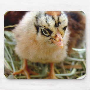 Tapis De Souris Chick