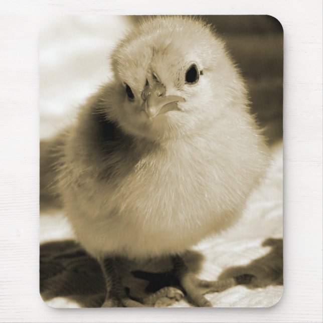 Tapis De Souris Chick de démarrage (Devant)