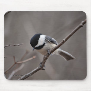 Tapis De Souris Chickadee couvert par noir