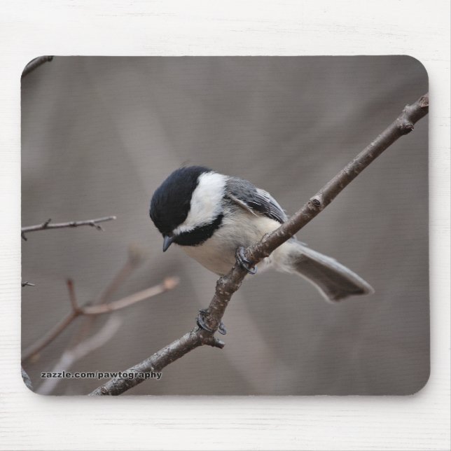 Tapis De Souris Chickadee couvert par noir (Devant)