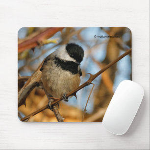 Tapis De Souris Chickadee Songbird, Joli Espérant