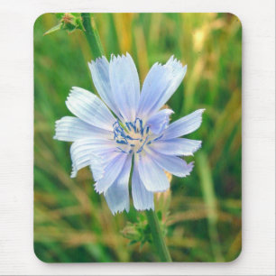 Tapis De Souris Chickory Flower
