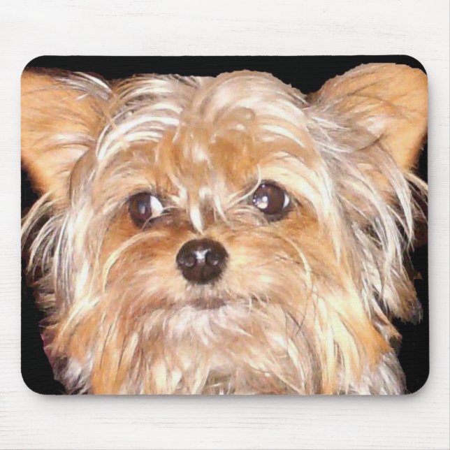 Tapis De Souris Chien 4, Souris (Devant)
