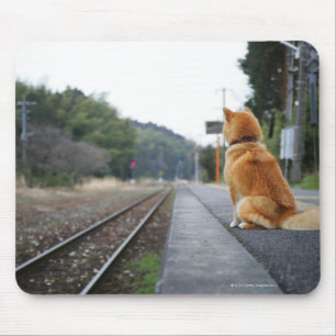 Tapis De Souris Chien assis à la gare
