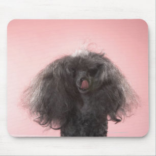 Tapis De Souris Chien avec des cheveux devant le visage et la