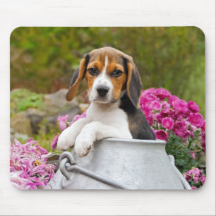Tapis De Souris Chien Beagle mignon chiot dans une église de lait