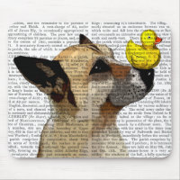 Chien berger allemand et canard