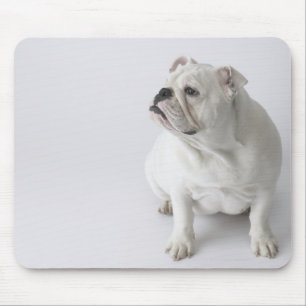 Tapis De Souris Chien blanc