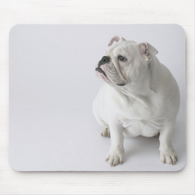 Tapis De Souris Chien blanc (Devant)