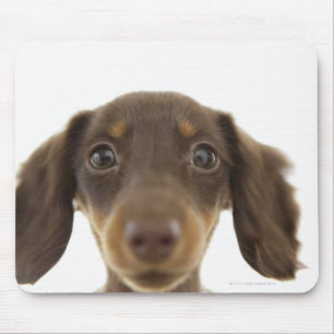 Tapis De Souris Chien blanc (brun) 2