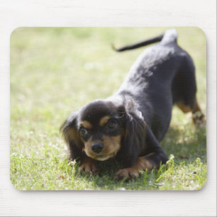 Tapis De Souris Chien blanc (noir) 2