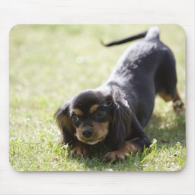Tapis De Souris Chien blanc (noir) 2 (Devant)