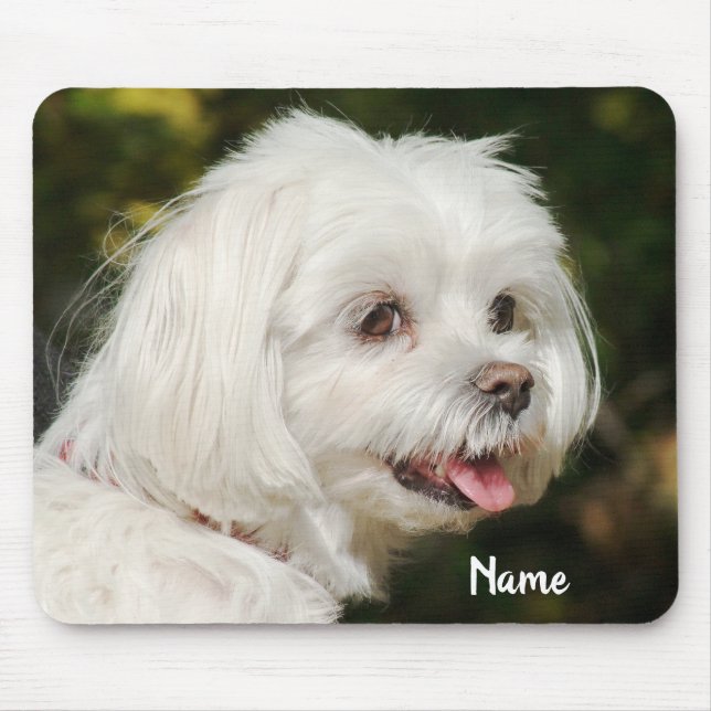 Tapis De Souris Chien chiot maltais blanc personnalisé (Devant)