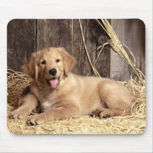 Tapis De Souris Chien coquelicot rustique de Golden Retriever