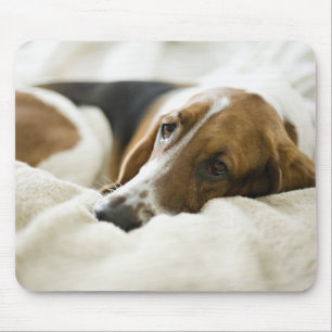 Tapis De Souris Chien de basset-hound