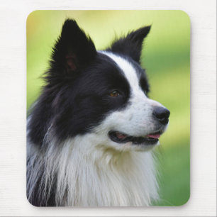 Tapis De Souris Chien de berger border collie noir et blanc