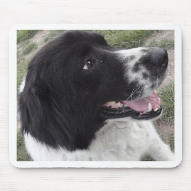 Tapis De Souris Chien de berger bulgare de Sara (Devant)