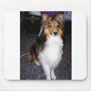 Tapis De Souris chien de berger shetland assis 2