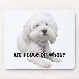 Tapis De Souris Chien de Bichon Frise