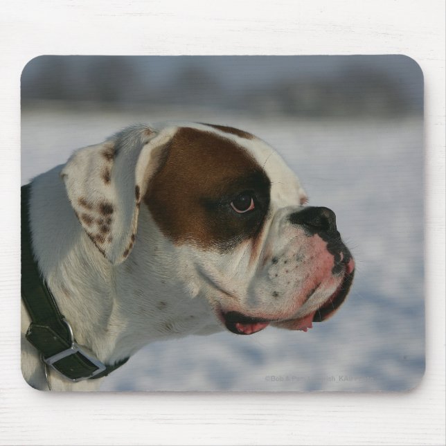 Tapis De Souris Chien de boxeur dans la neige (Devant)