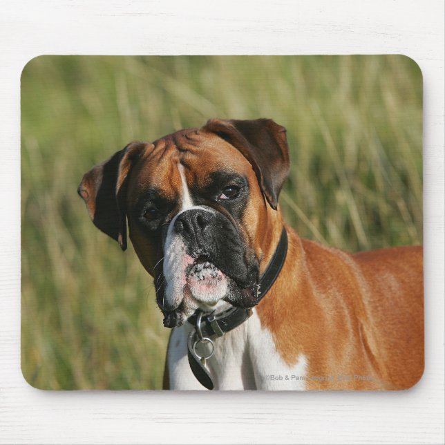 Tapis De Souris Chien de boxeur regardant fixement (Devant)