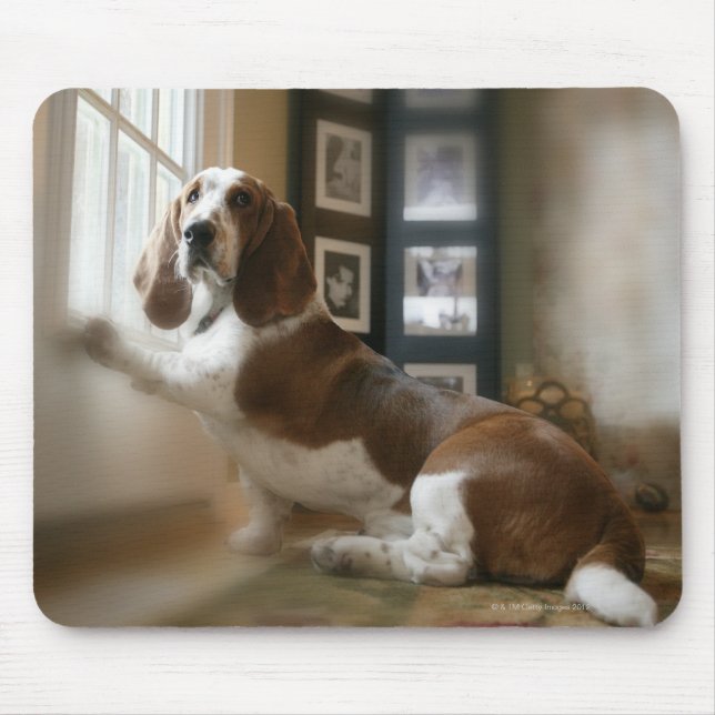 Tapis De Souris Chien de fenêtre (Devant)