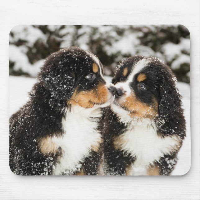 Tapis De Souris Chien de Montagne Bernese Chien Chien Chien Chien  (Devant)