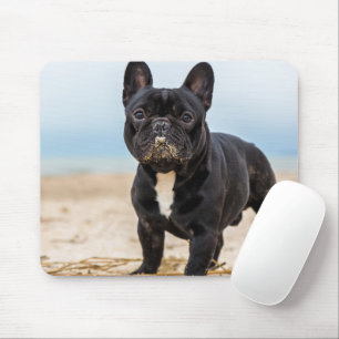 Tapis De Souris Chien de taureau français jouant dans le sable