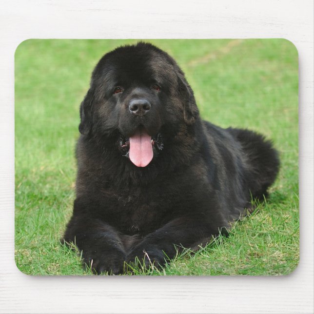 Tapis De Souris Chien de Terre (Devant)