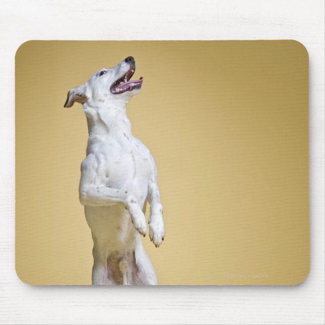 Tapis De Souris Chien debout sur les pattes postérieures (Devant)