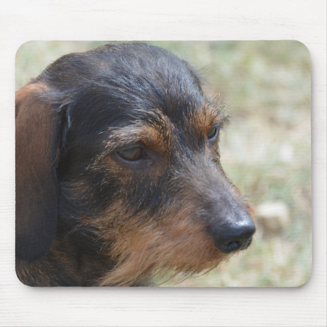 Tapis De Souris Chien d'une chevelure de Daschund de fil (Devant)