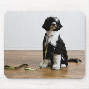 Tapis De Souris chien en laisse