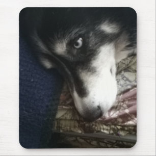 Tapis De Souris Chien endormi